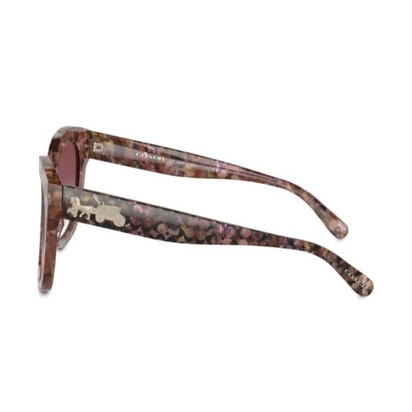 NWT COACH PETAL TORTOISE L1083 SUNGLASSES & CASE - Picture 7 of 15